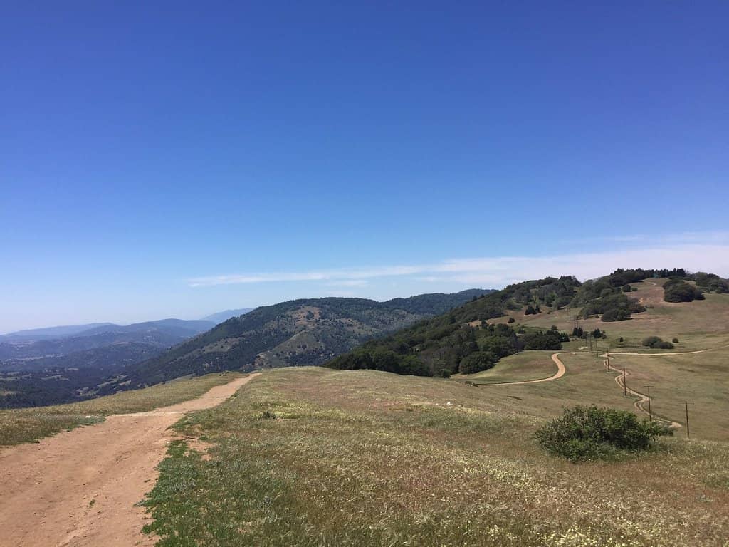 Public Art & Sculptures