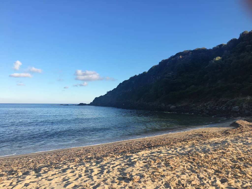 The Bluefish Beach Bar