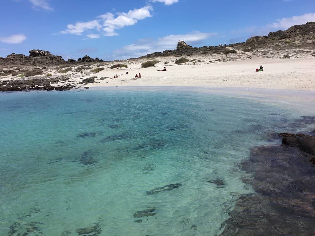 Punta de Choros Chile (2026) – Best of TikTok, Instagram & Reddit ...