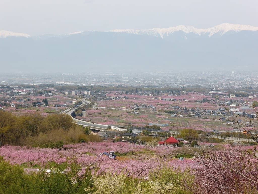 Linear Chuo Shinkansen Observatory