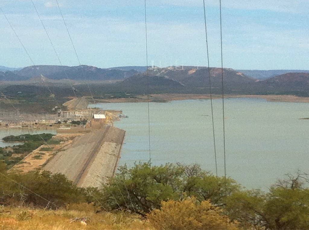 Fresh Tilapia from Fishermen