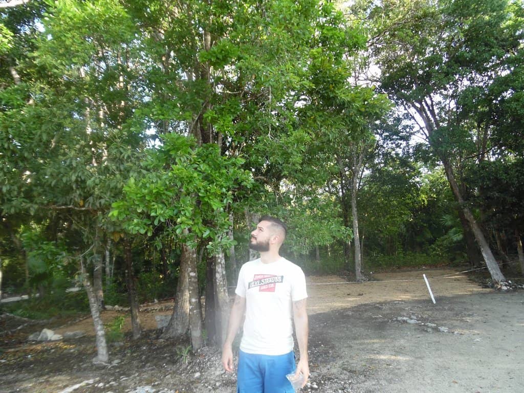 Cenote Escondido's Jungle Charm