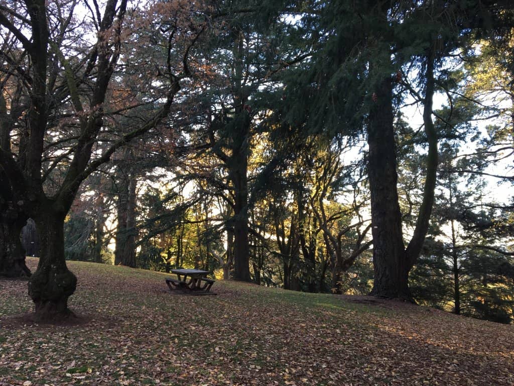 Wombat Hill House Cafe