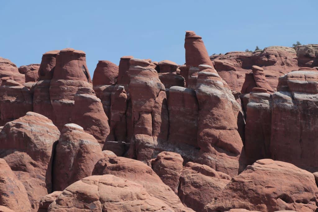 The Labyrinthine Canyons