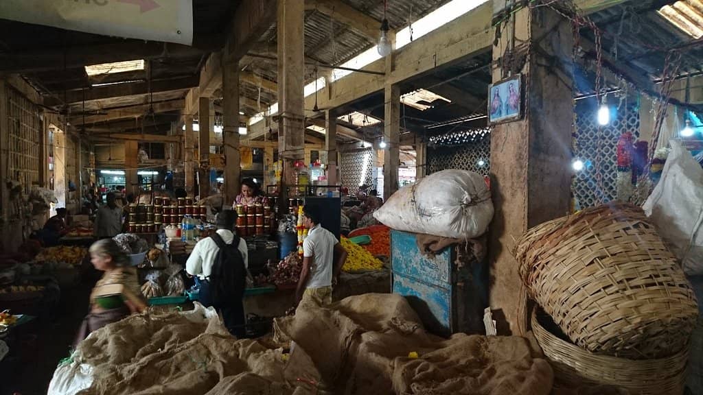 Fashion Finds Galore