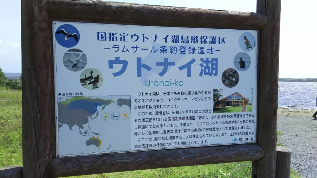 Red Bridge Viewpoint