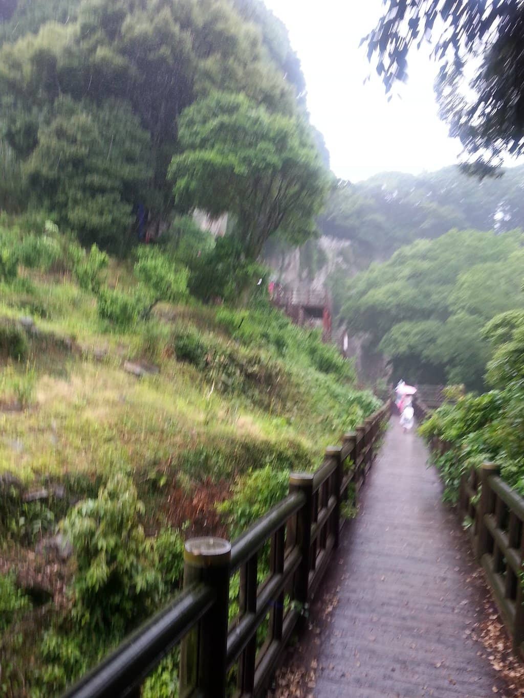 Scenic Walkway and Viewing Decks