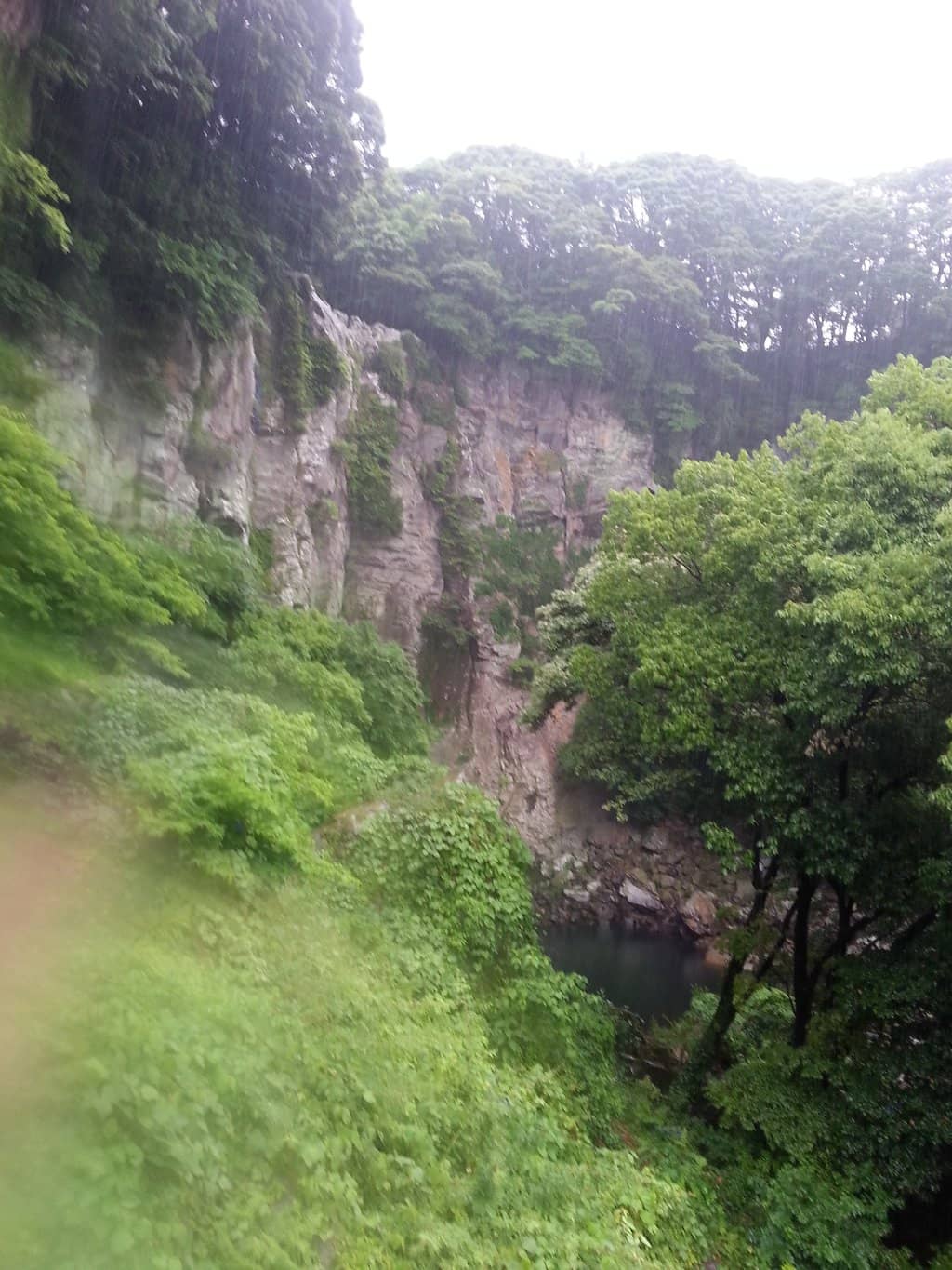 Lush Greenery and Volcanic Rock