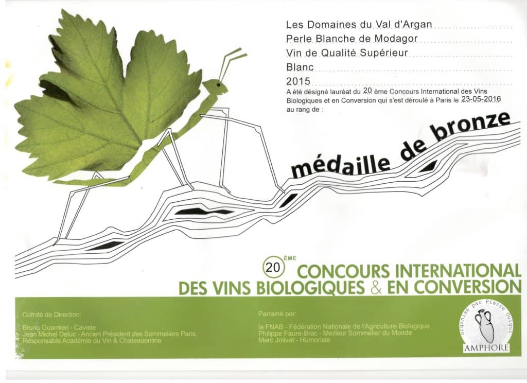 Tranquil Poolside Ambiance