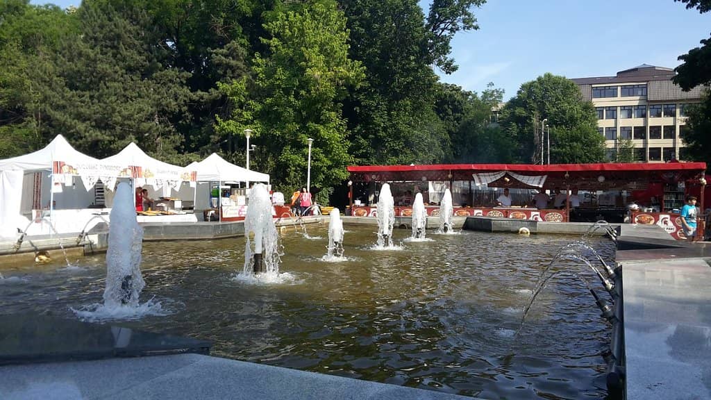 Children's Playgrounds & Amusements