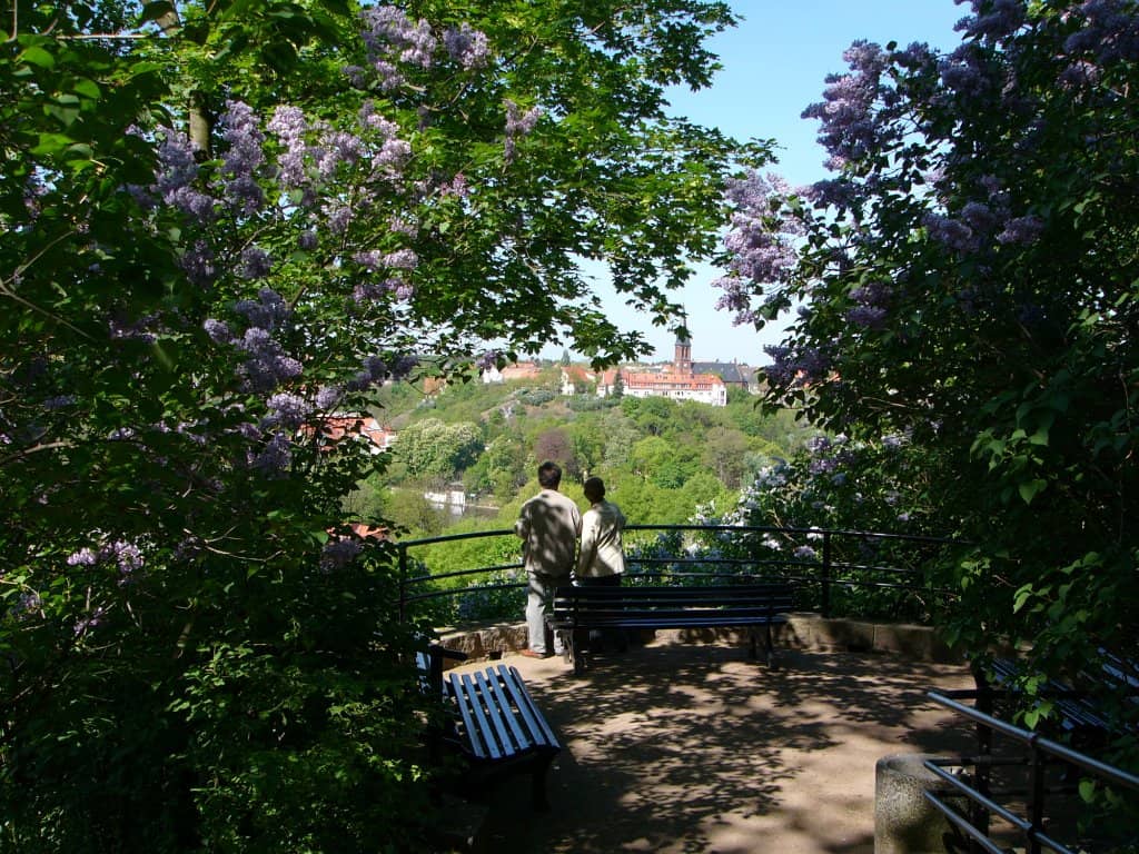 Magical Light Worlds