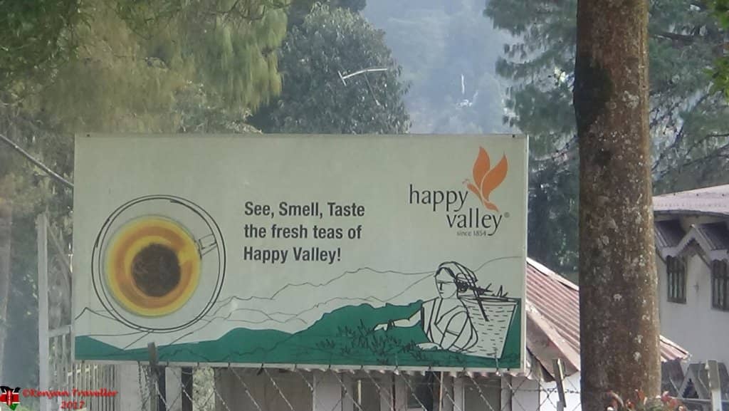 Rolling Green Tea Slopes