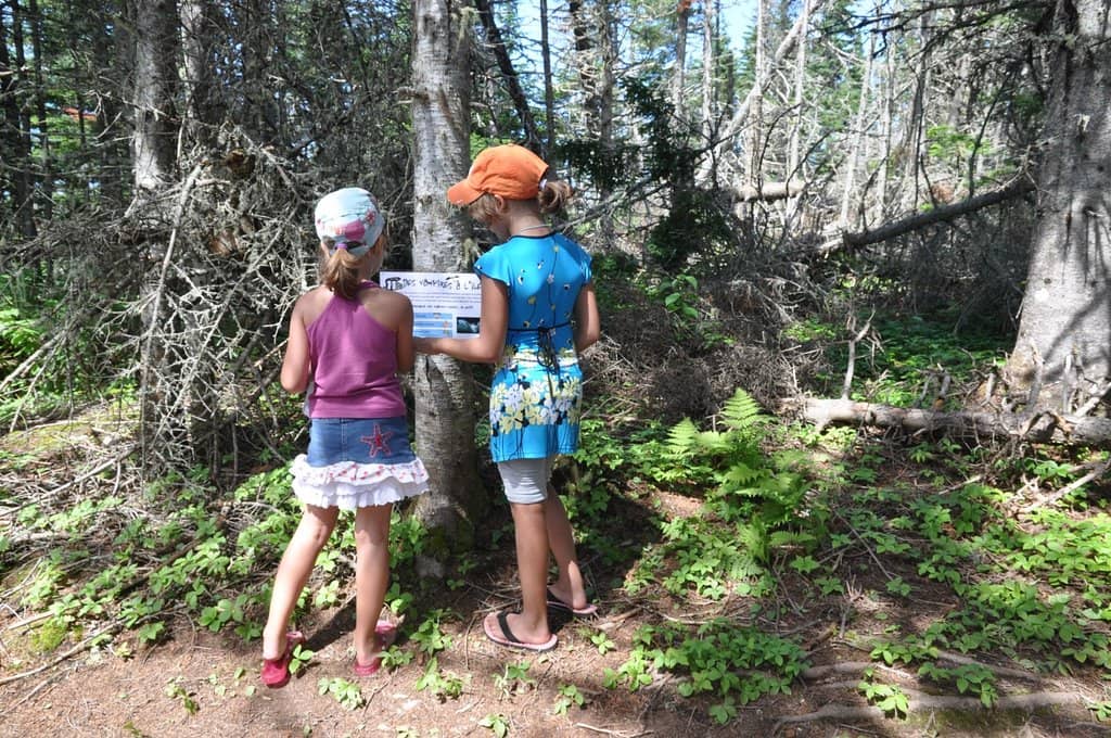 Island Hiking Trails