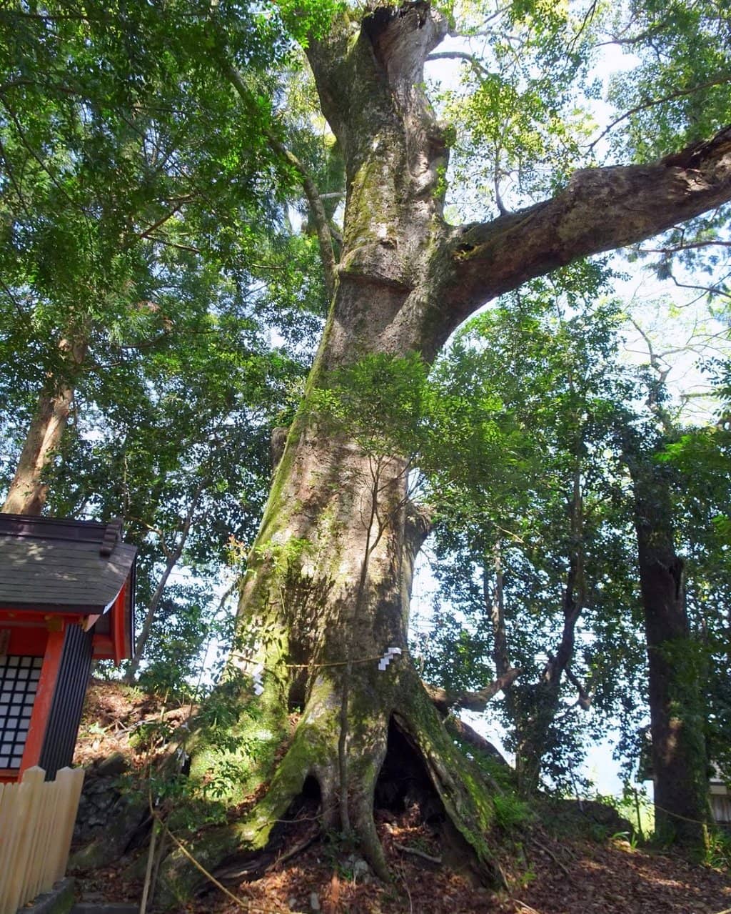 Vibrant Shrine Artwork
