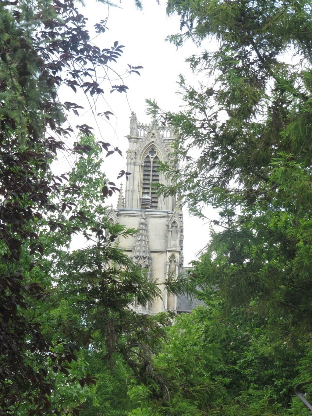 Mature Trees and Manicured Gardens
