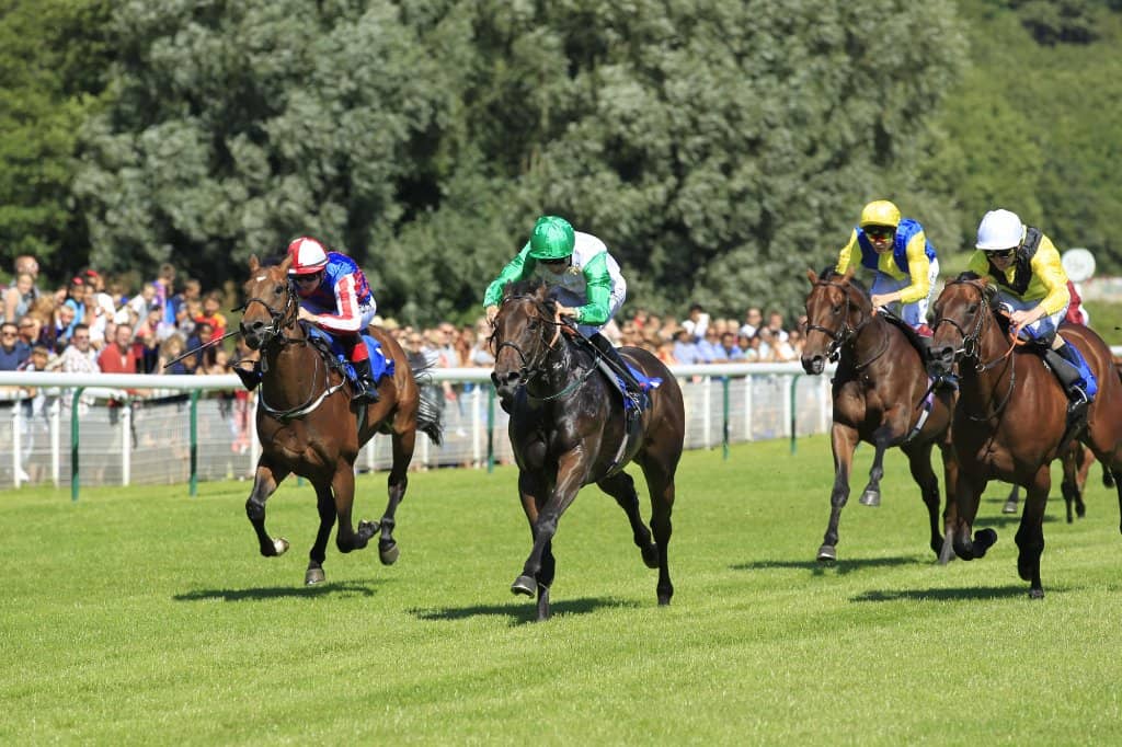 Parade Ring Spectacle