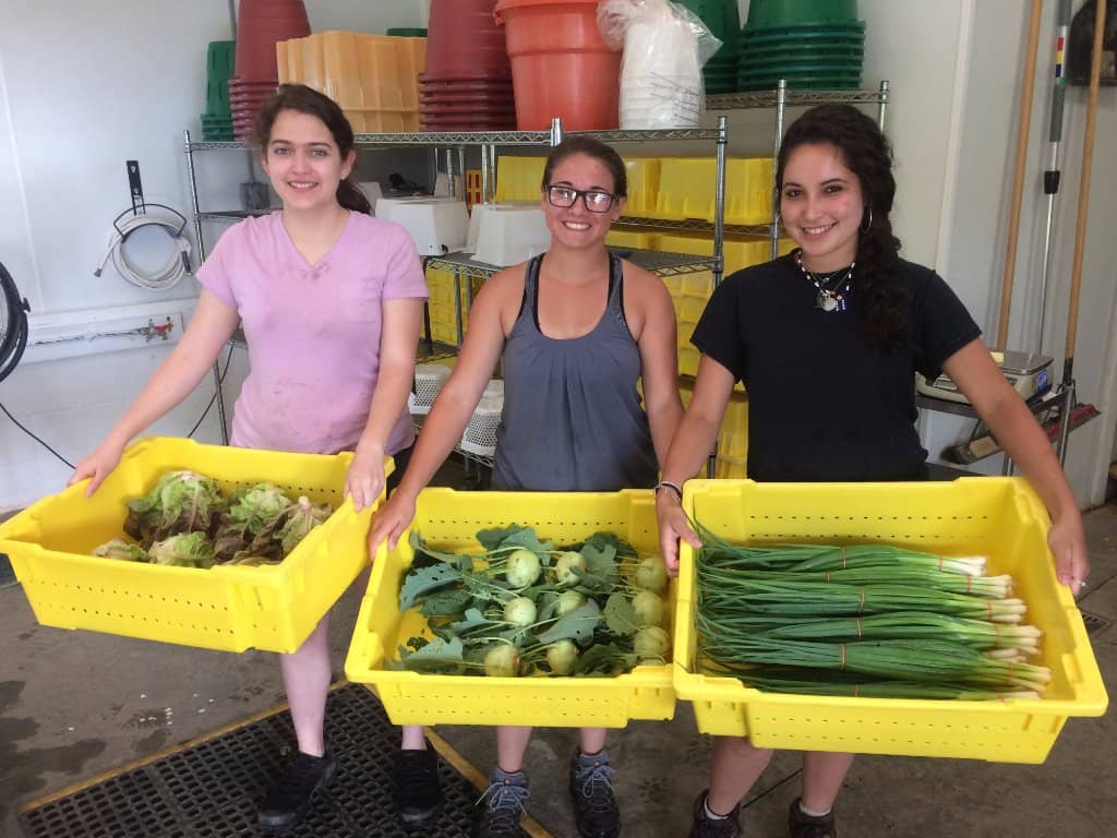 Smoothies on the Square
