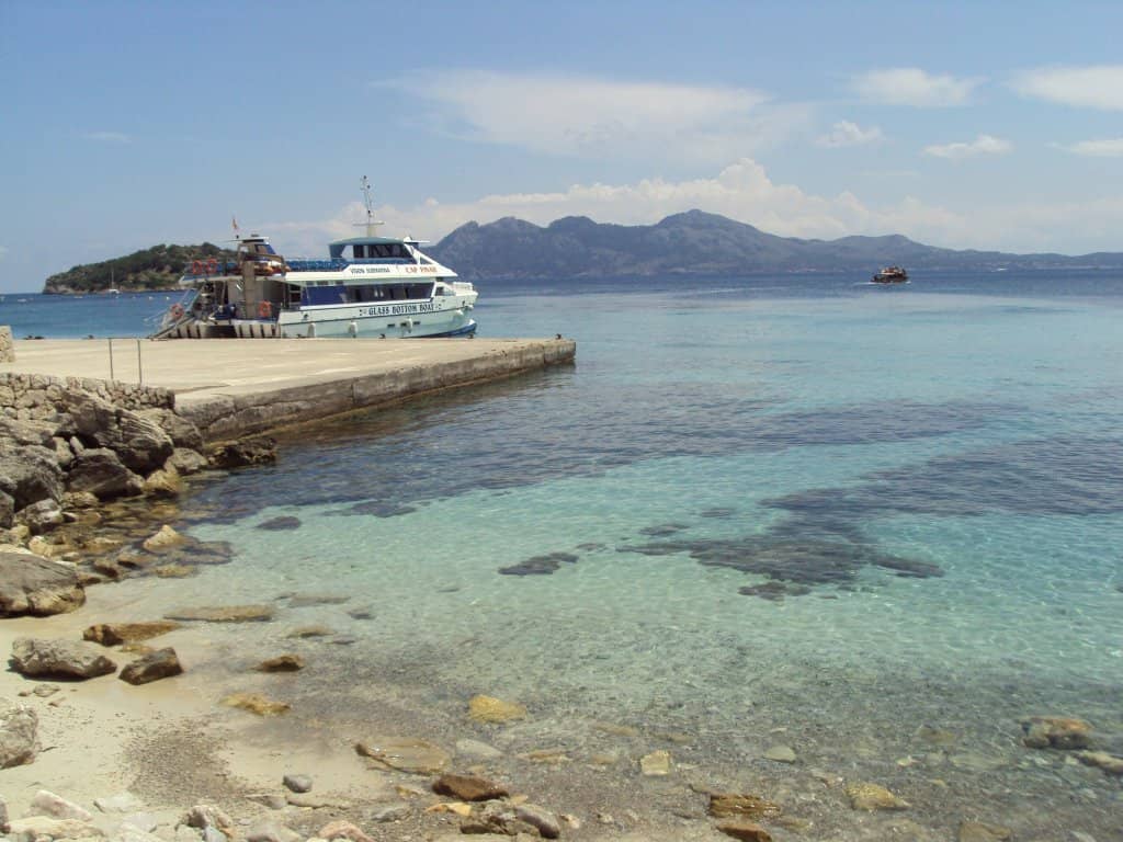 Snorkeling & Marine Life