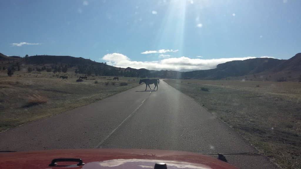 Old Smiley Canyon Scenic Drive