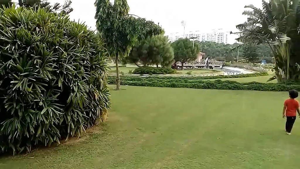 Children's Play Area