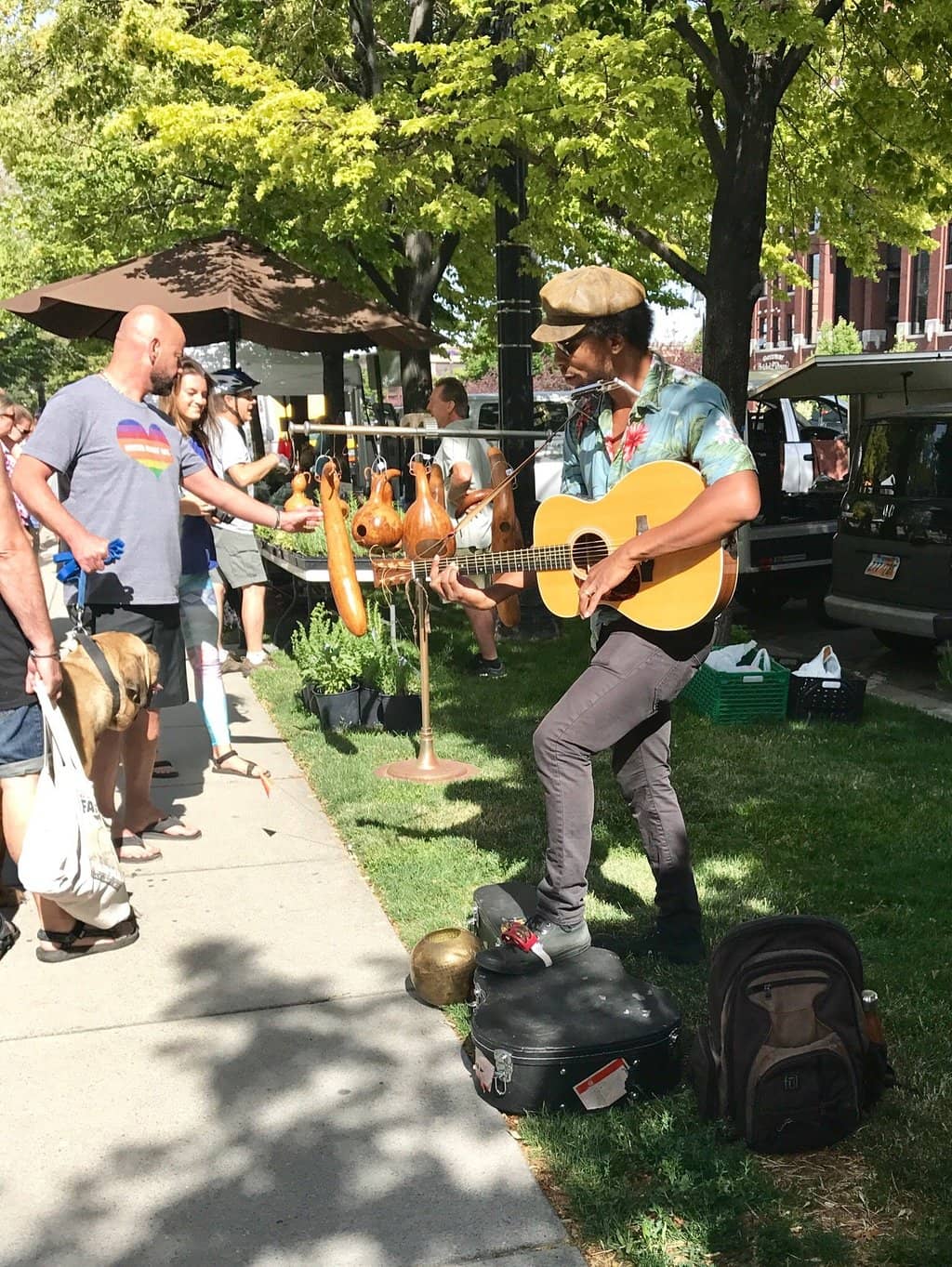 Covered Picnic Pavilions
