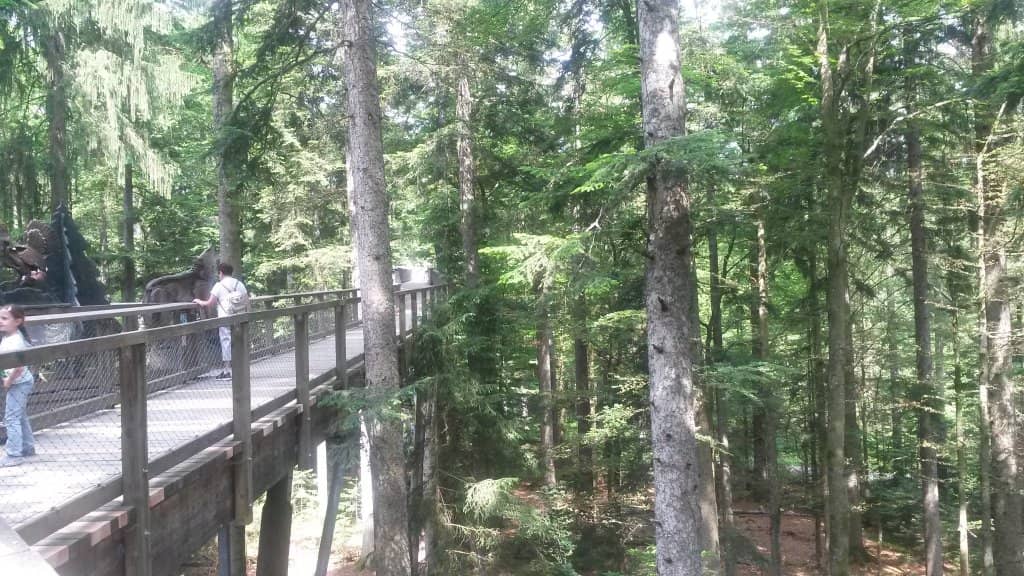 The Egg-Shaped Observation Tower