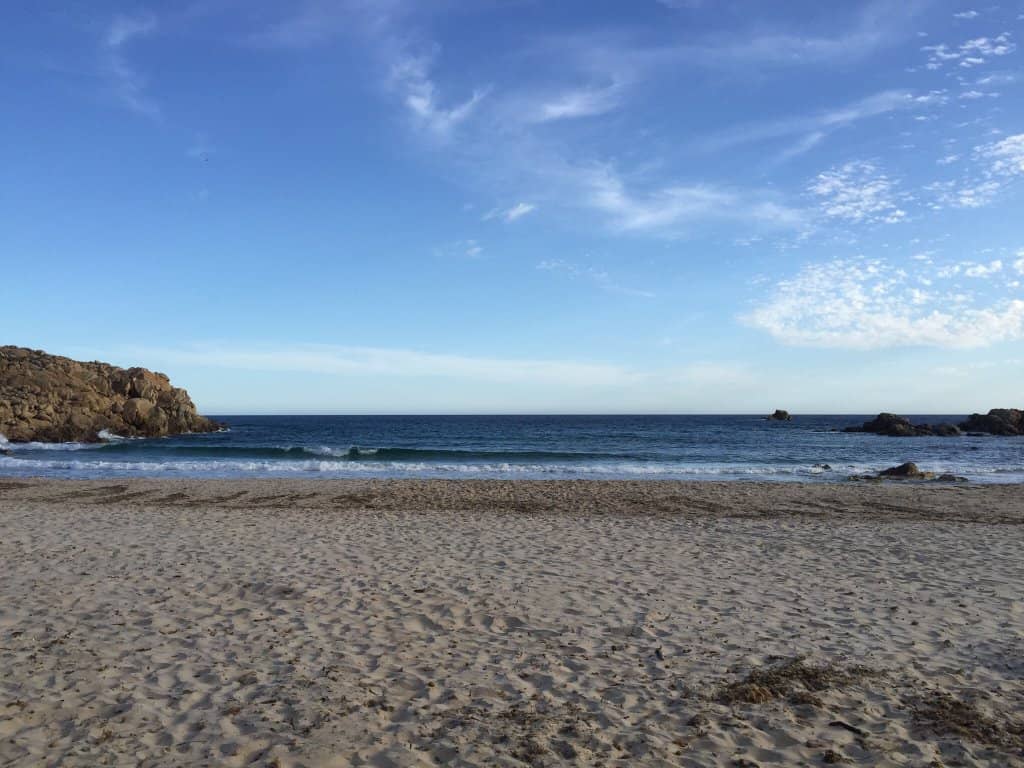 Scenic Dune-Backed Beach