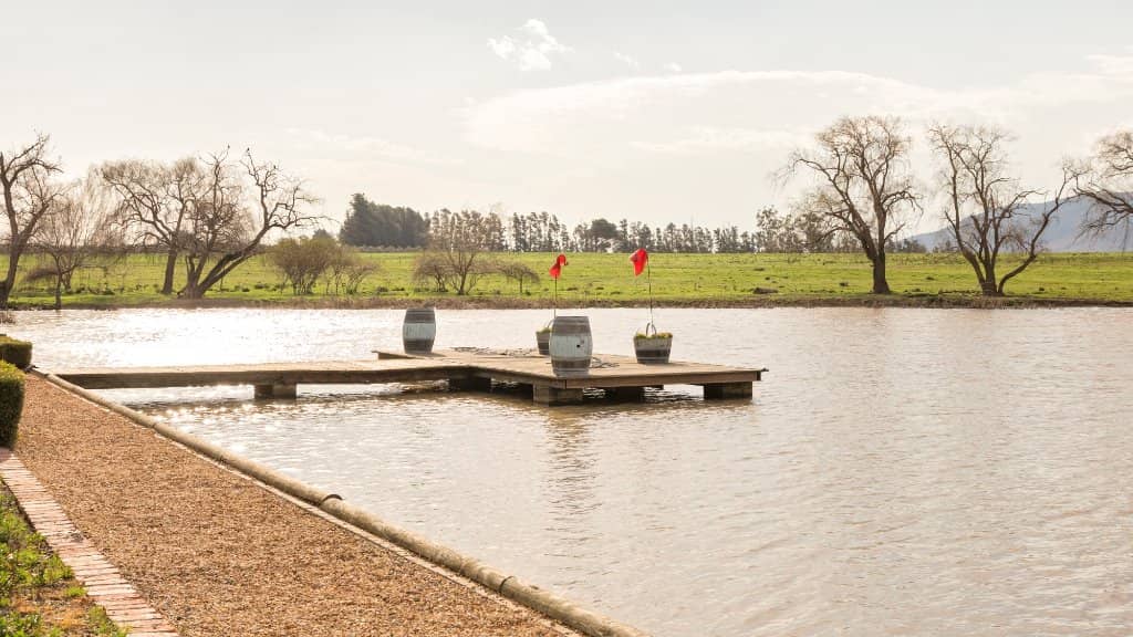 Cage Diving Experience