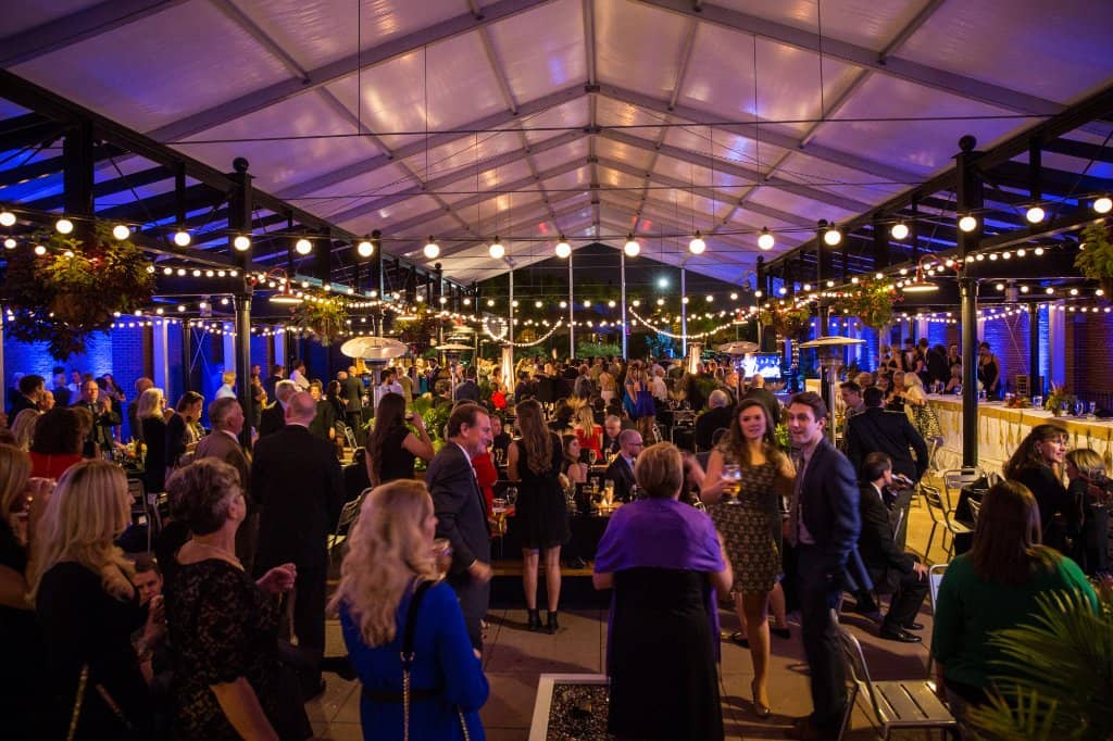 Iconic Clydesdale Horses