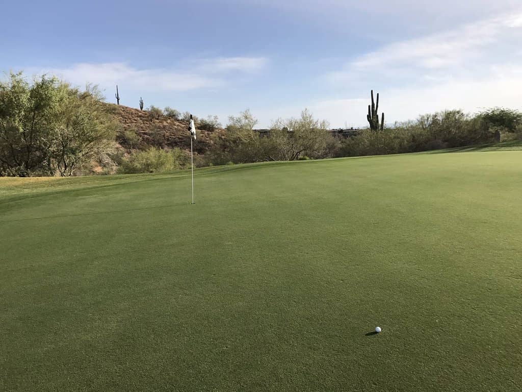 Cool Clubs Fitting Experience