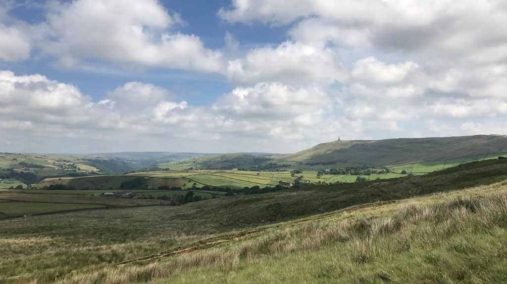 Encountering the Local Herd