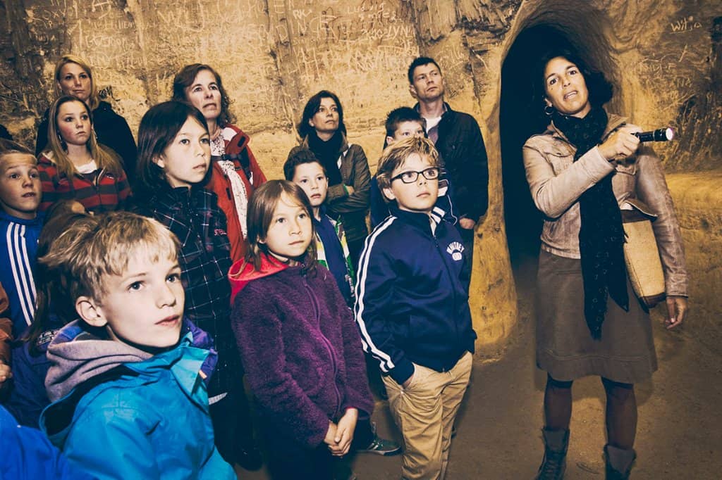 Informative Guided Tours