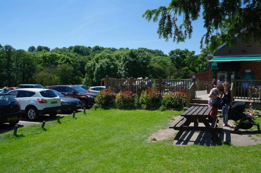 Woodland Walks & Stream