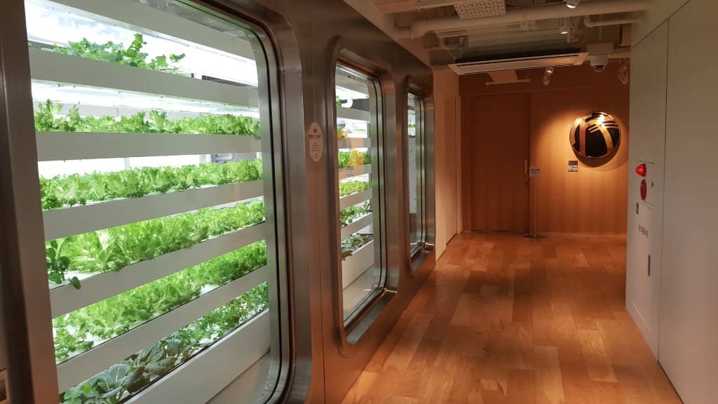 Unique Japanese Gifts