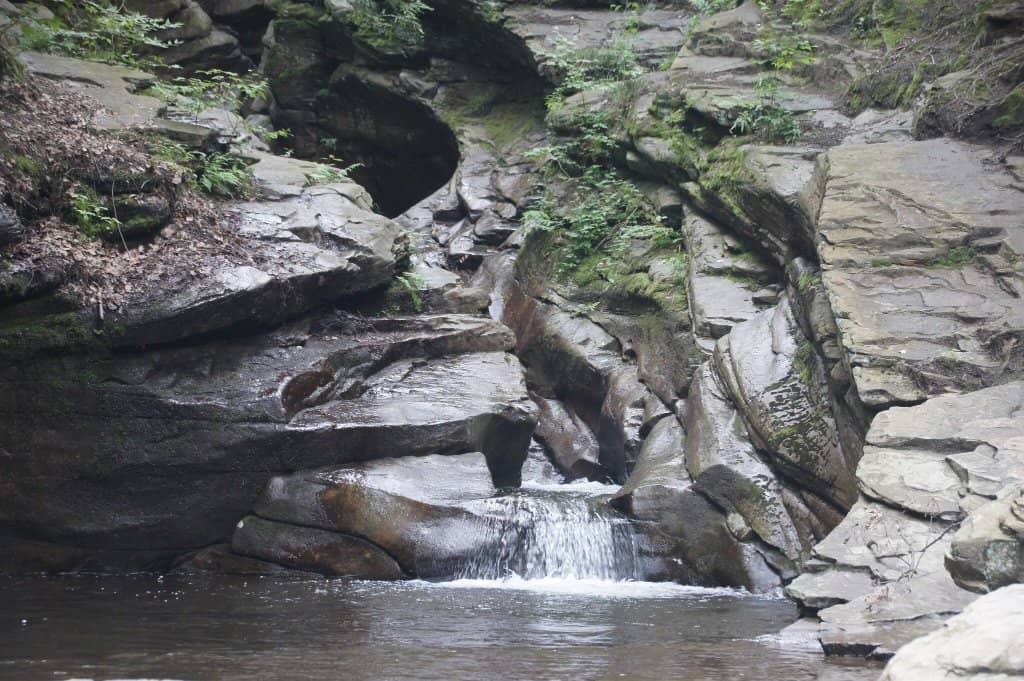 Scenic Hiking Trails