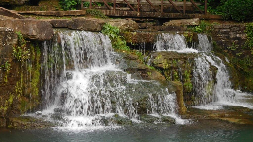 The Whispering Willow Grove