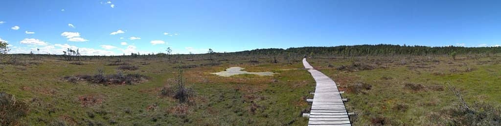 The Boardwalk Trail