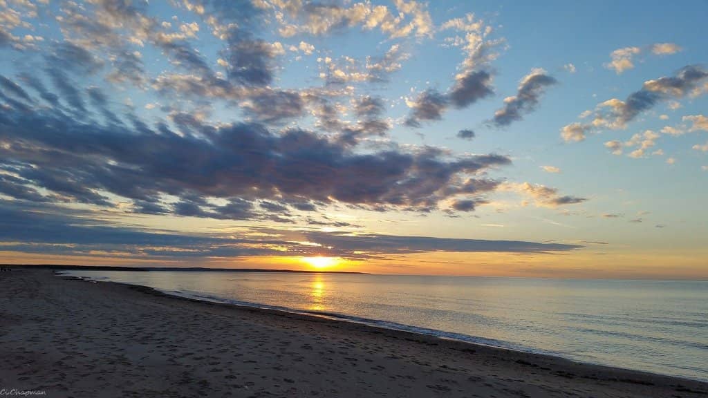 Expansive Sandy Shores