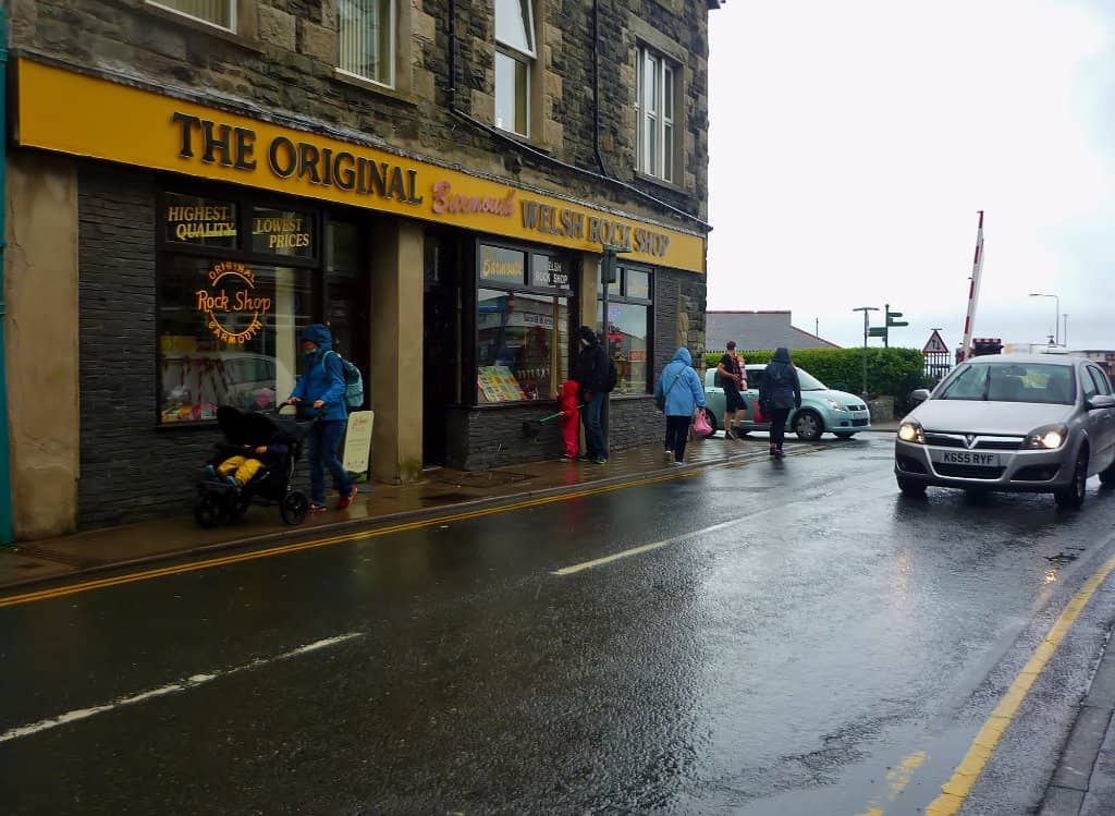 Friendly Owner Interaction