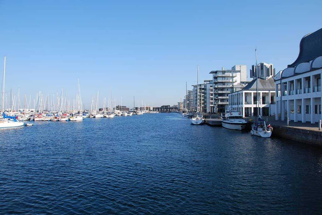 Otto Ice Cream Delight