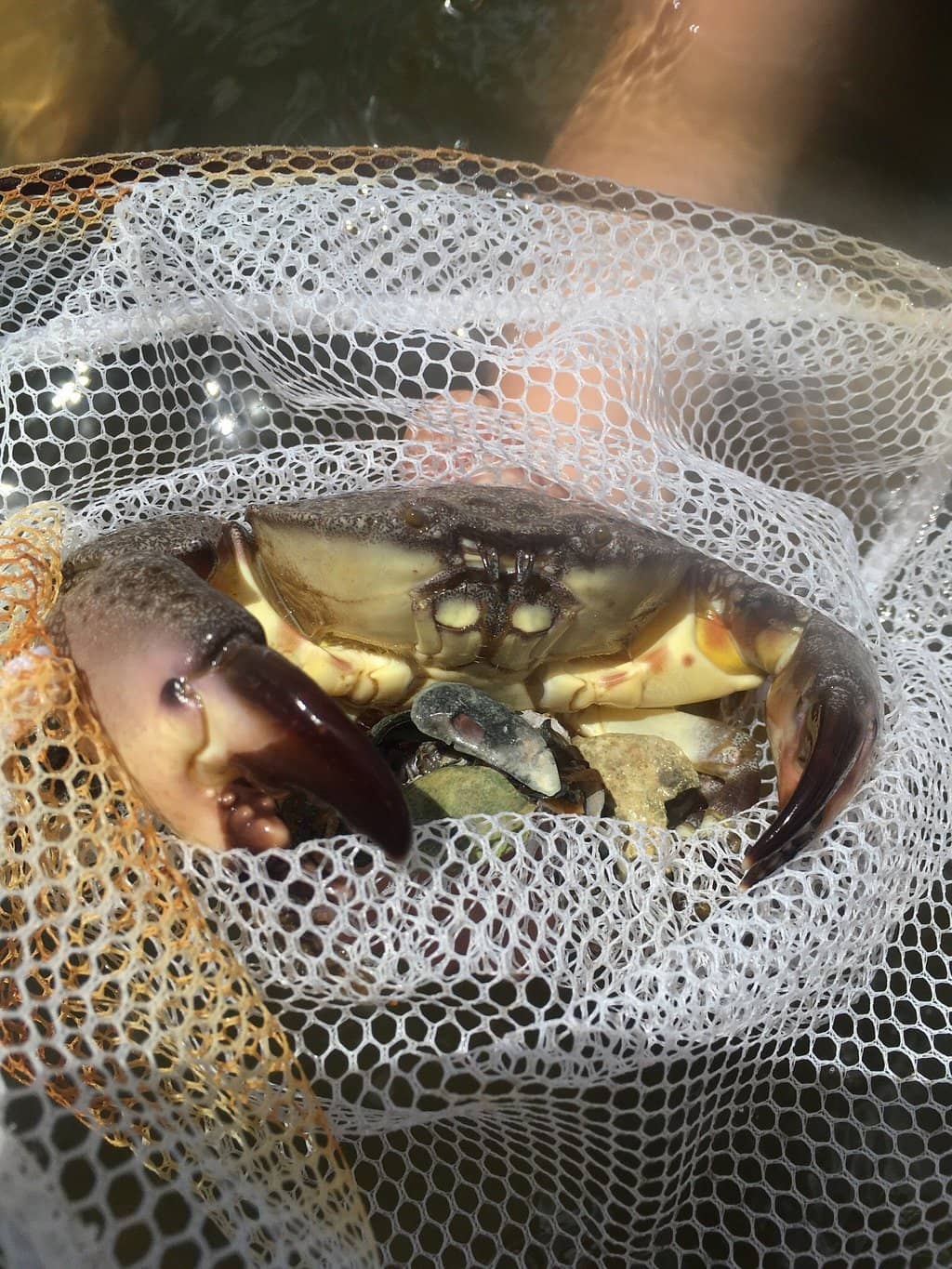 Bokeelia Fishing Pier