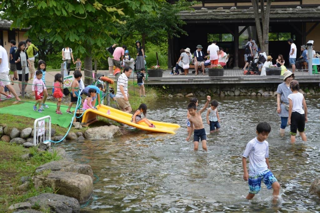 Winter Illuminations & Light Shows