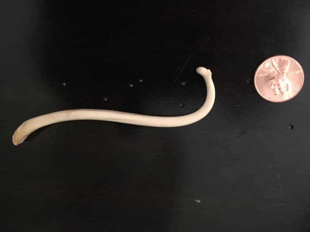 Bill Elliott's Legacy