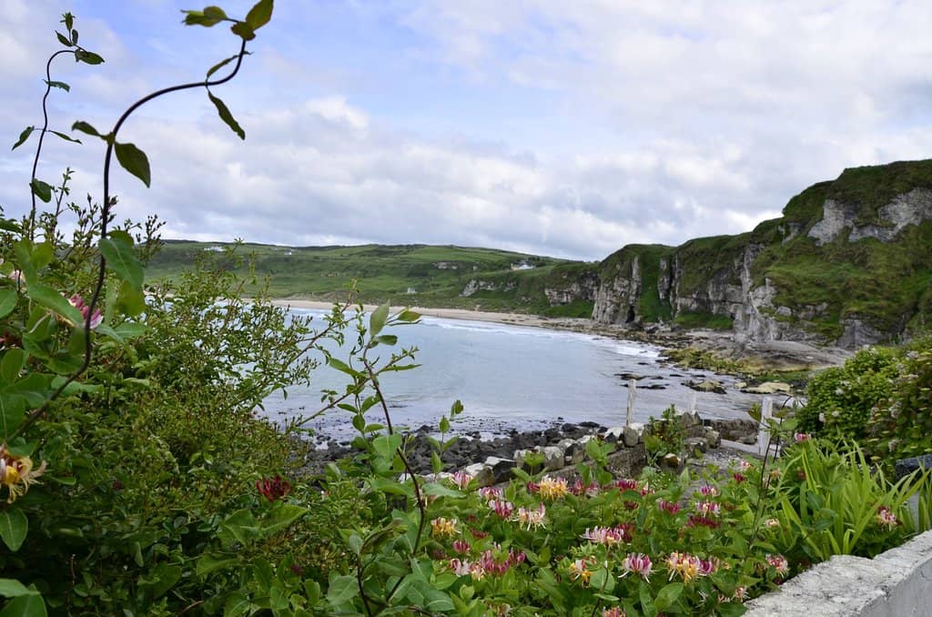 The Harbour Itself