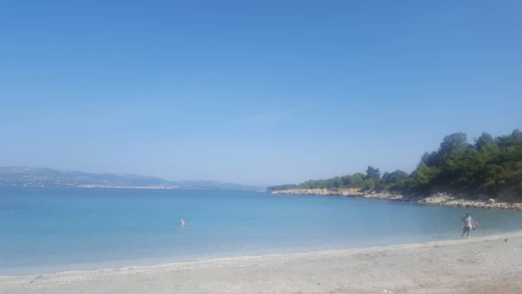 Artisanal Gelato Delights