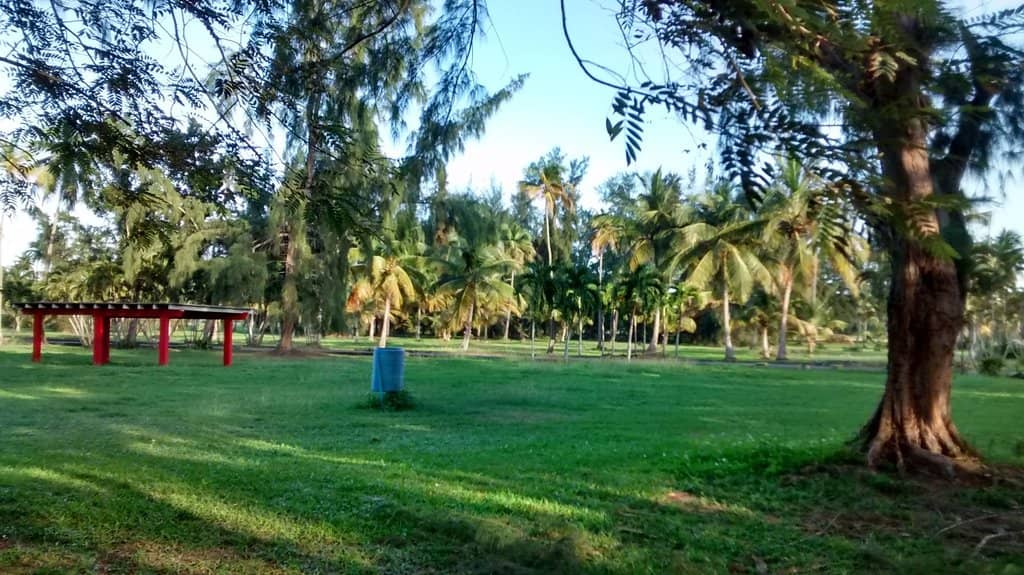 Beachfront Food & Drinks