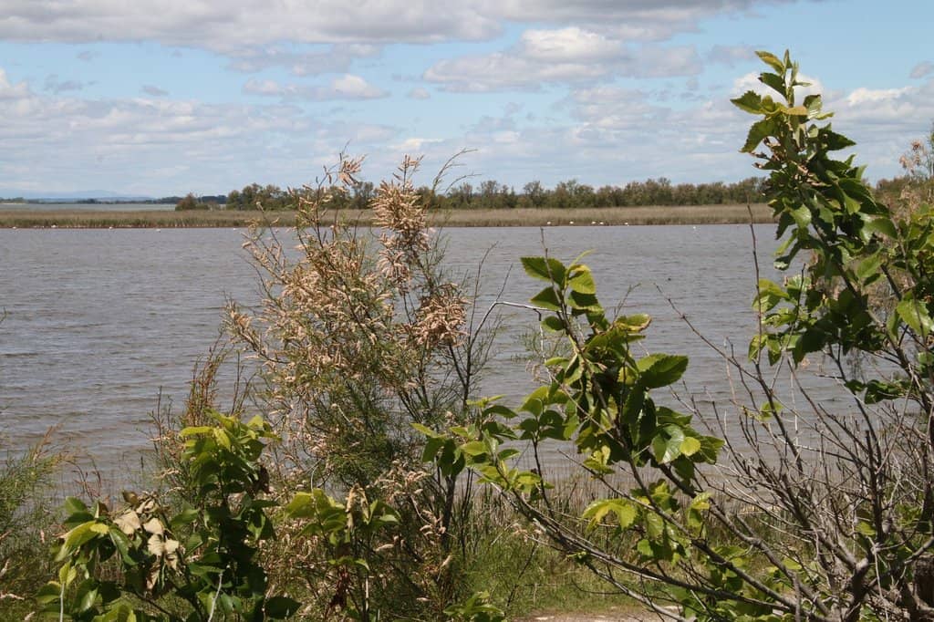 Accessible Walking Trail