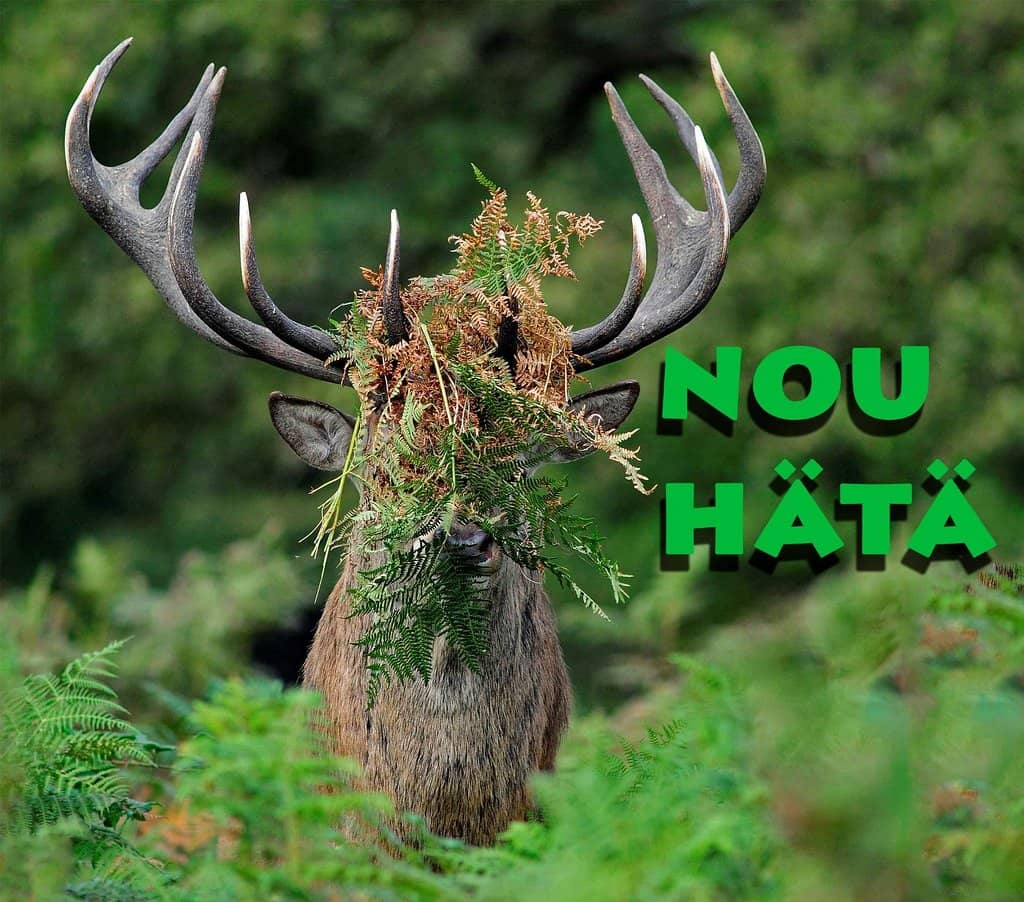 Interactive Exhibits