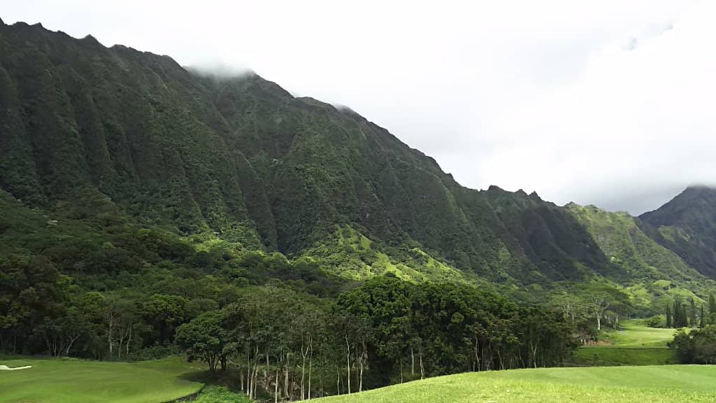 Lush Rainforest Trail