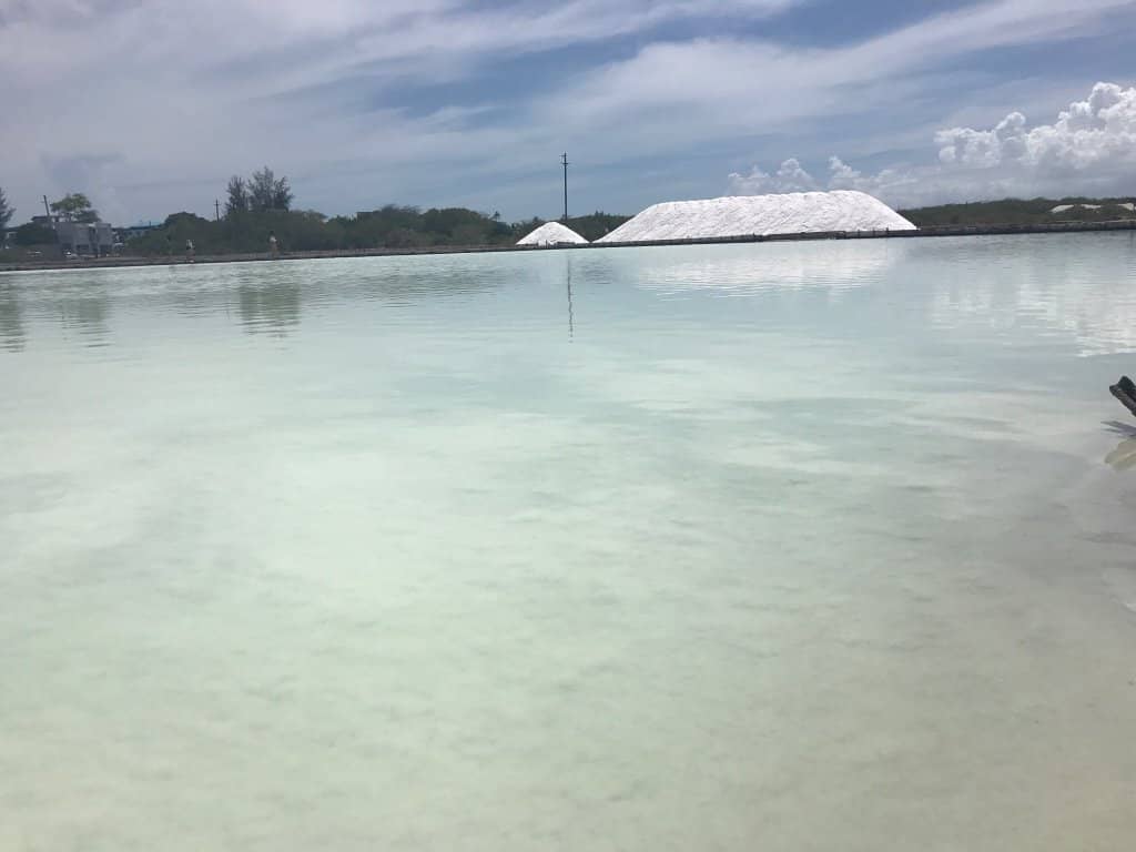 Natural Stone Bridge